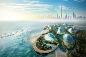 Dubai Mangroves - Dự án tái tạo bờ biển lớn nhất thế giới