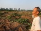 Văn Giang và viễn cảnh nông dân “góp cổ phần”