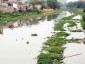 Xử lý triệt để ô nhiễm lưu vực sông Nhuệ-sông Đáy