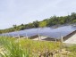 Điện mặt trời có thể “sống chung” với nông nghiệp