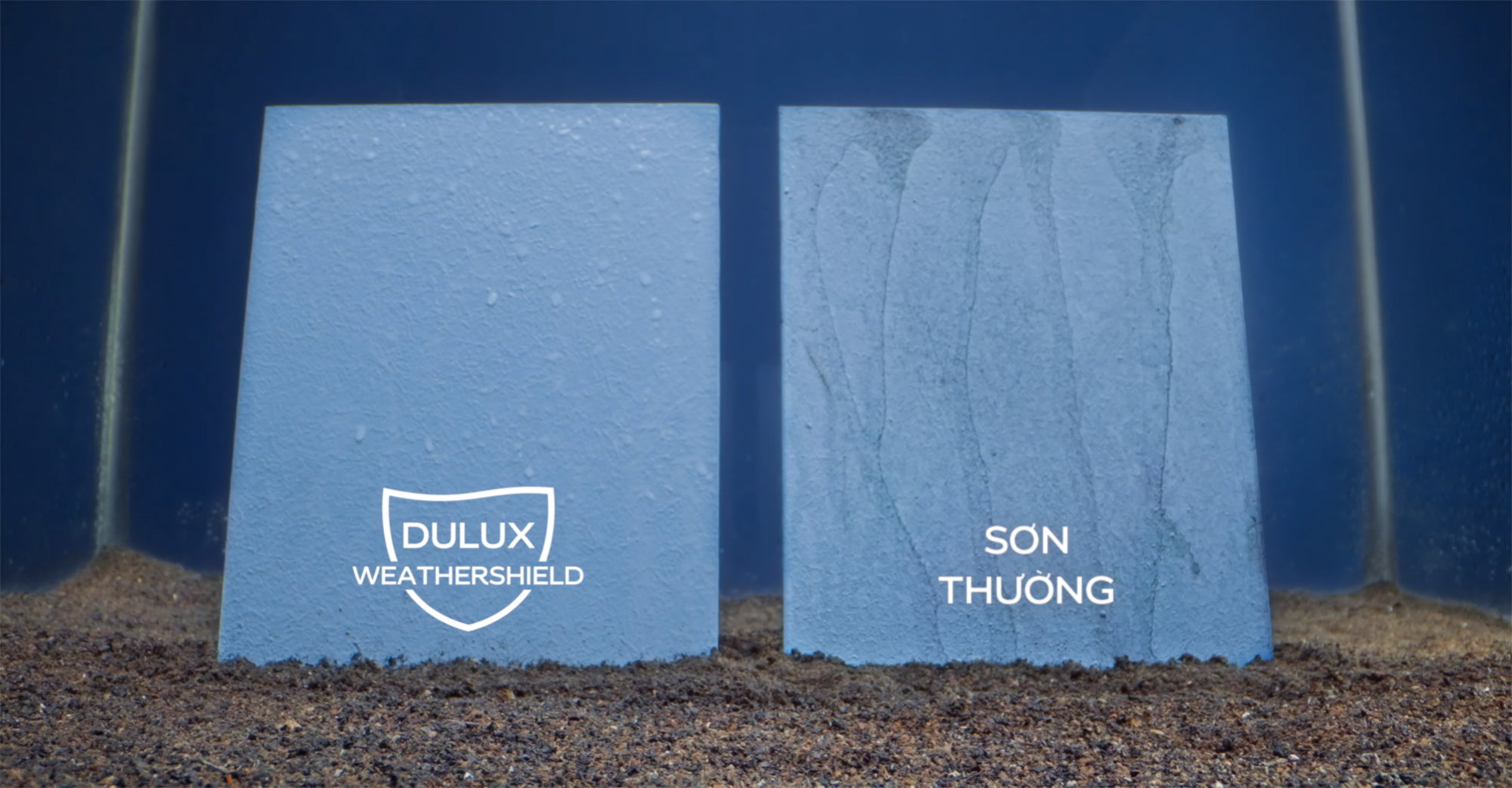 Dulux3.jpg