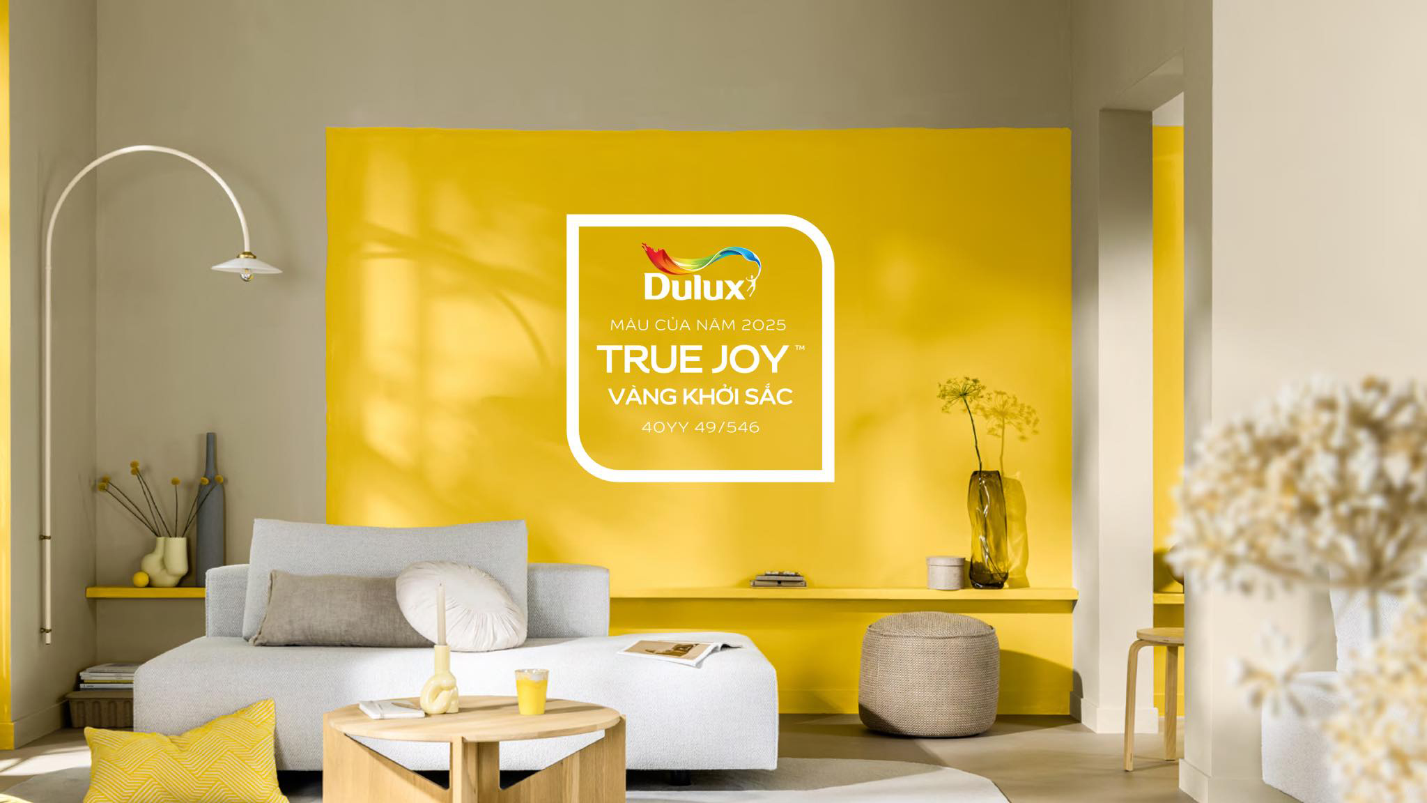 Dulux7.jpg