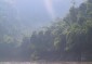 Sub-Mekong countries work on managing forests
