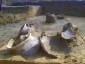Phát hiện nhiều gốm cổ tại di chỉ khảo cổ Phôi Phối - Bãi Cọi
