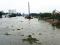 Bán đảo Thanh Đa: bao giờ hết bị sạt lở bờ sông?
