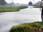 Hà Nội tập trung giải quyết ô nhiễm sông Nhuệ, Đáy