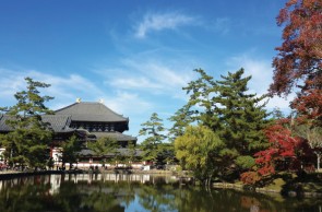 Những bảo vật ngàn năm ở Nara (Nhật Bản)