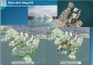 Hà Nội: Điều chỉnh cục bộ Quy hoạch phân khu đô thị khu vực Hồ Tây và vùng phụ cận