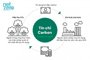 Thuế carbon và cạnh tranh giảm phát thải