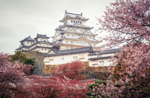 5 điểm ngắm hoa anh đào đẹp ở Nhật Bản