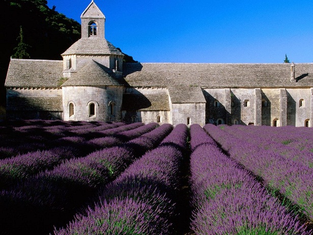 Vùng trời tím tại Provence (Pháp)