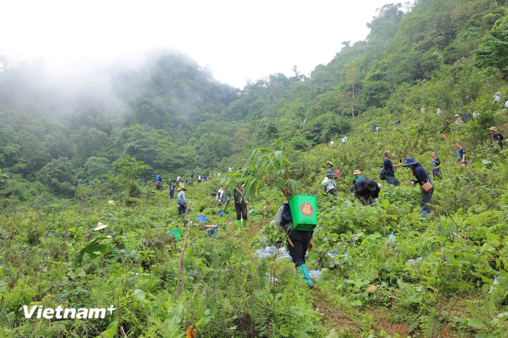 Phát triển bền vững. (Ảnh: Nguyễn Cường/Vietnam+) 
